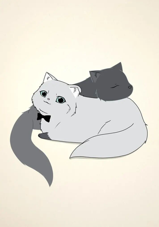 白猫与黑猫
