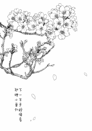 真奈美于我身侧
