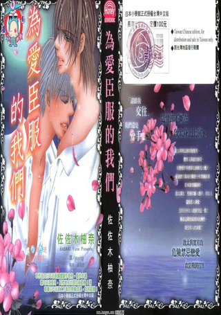 为爱臣服的我们