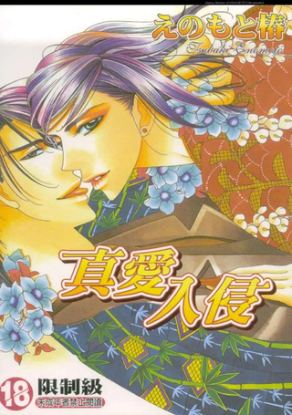 真爱入侵