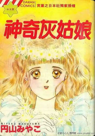 神奇灰姑娘