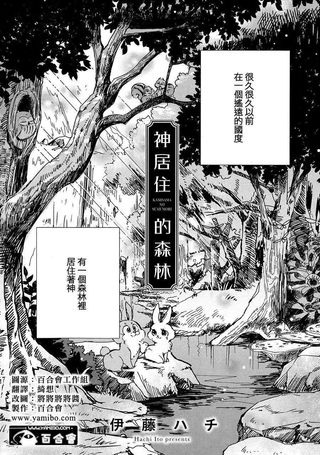 神居住的森林