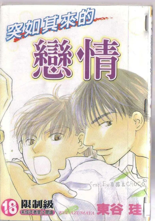 突如其来的恋情