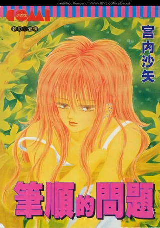 笔顺的问题
