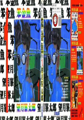 笨金鱼