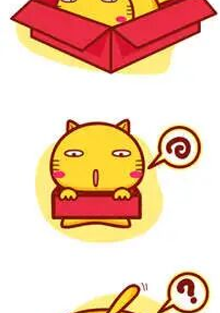 哈咪猫