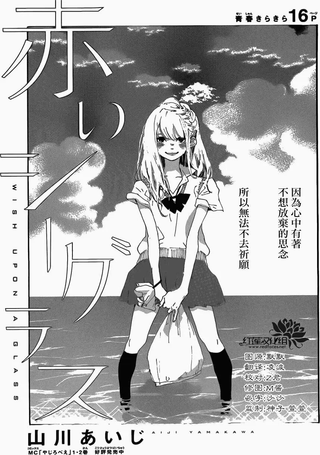 红色的海玻璃石