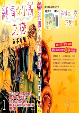 纯情☆小说之恋
