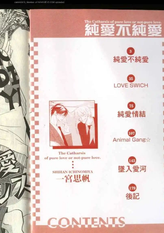 纯爱不纯爱