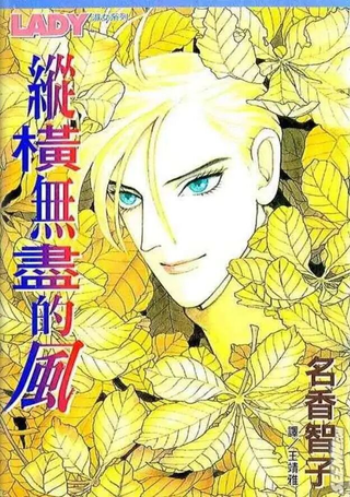 纵横无尽的风
