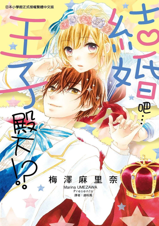 结婚吧…王子殿下！？