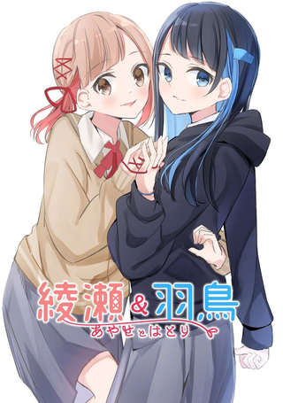 绫濑与羽鸟