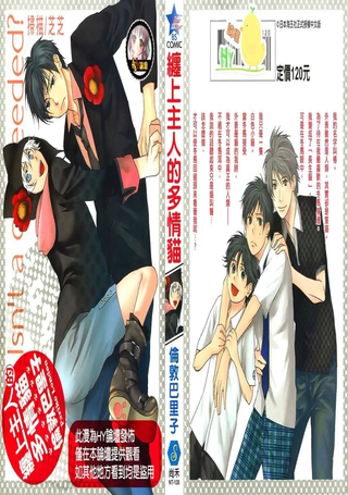 缠上主人的多情猫