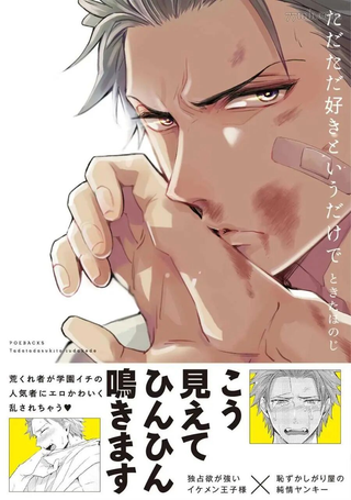 仅仅只是因为喜欢你