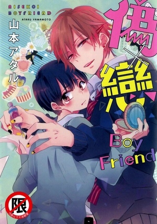 伪x恋boyfriend