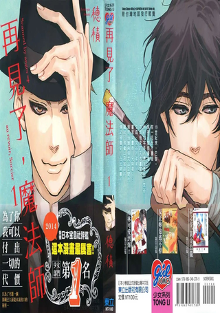 再见了，魔法师