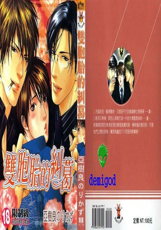 双胞胎的纠葛
