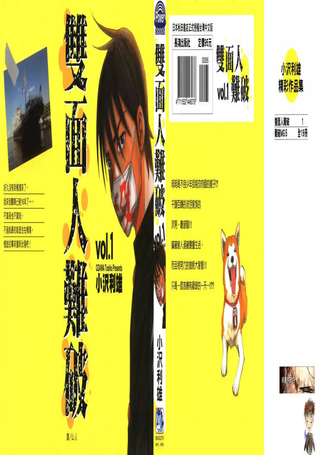 双面人难破