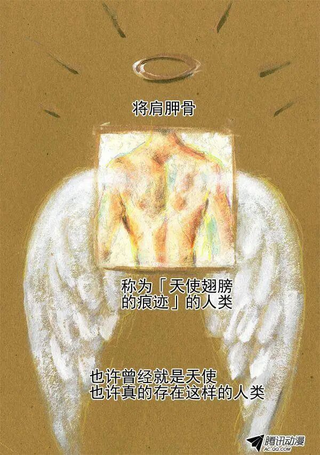 天使翅膀的痕迹