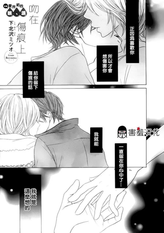 吻在伤痕上