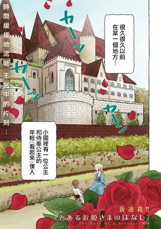 和某个公主殿下的故事