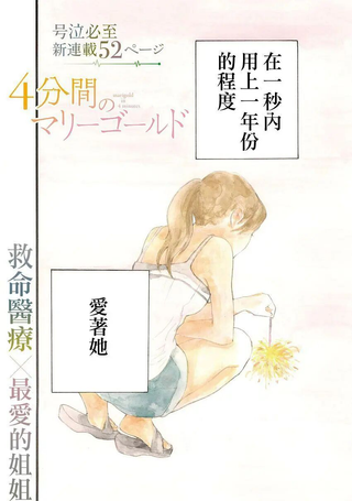 四分钟的金盏菊