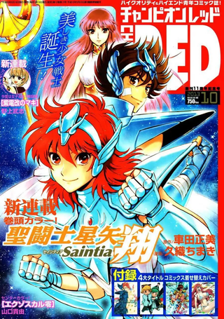 圣斗士星矢 圣斗少女翔