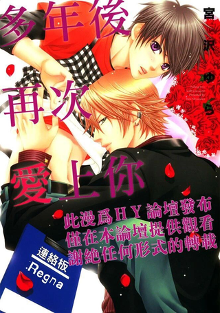 多年后再次爱上你