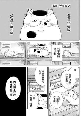 大叔与猫