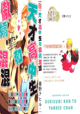 天才高中生和傲娇混混