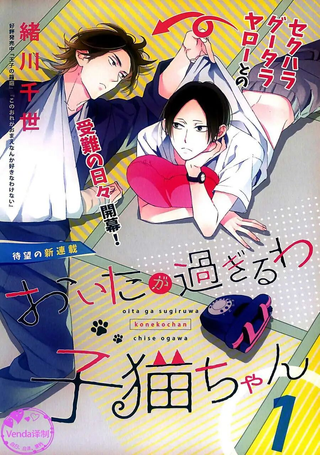 太调皮 小猫咪
