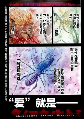 太阳之瞳