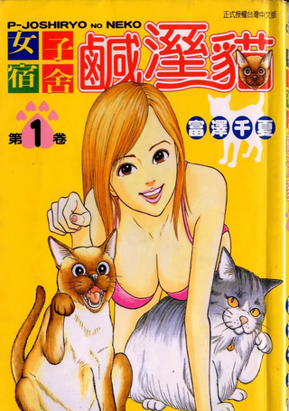 女子宿舍咸湿猫