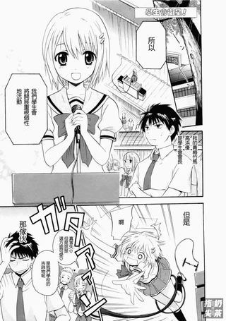 学生会卫星