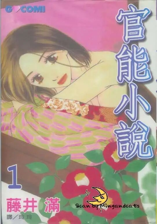 官能小说