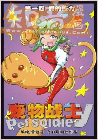 宠物战士