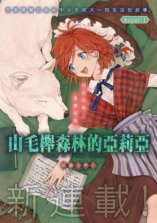 山毛榉森林的亚莉亚