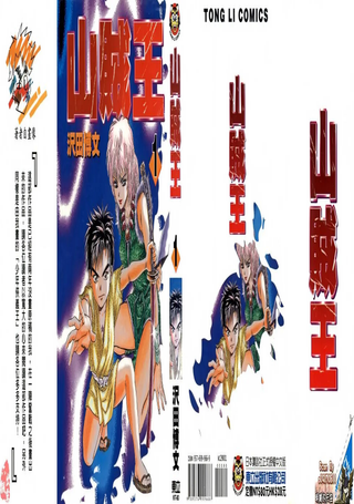 山贼王