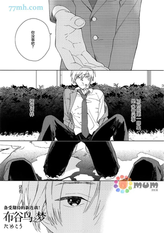 布谷鸟的梦