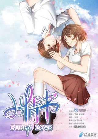 小情书