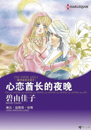 心恋酋长的夜晚