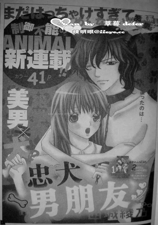 忠犬男朋友