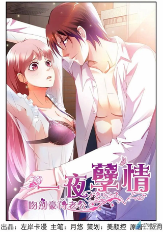 一夜孽情