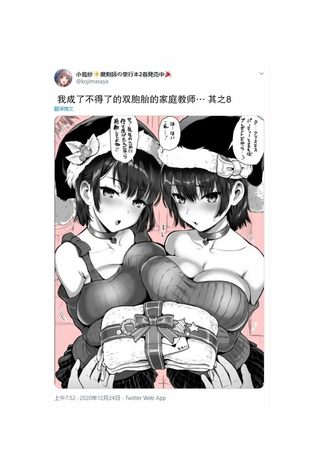 我成了不得了的双胞胎的家庭教师
