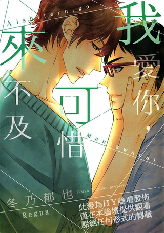 我爱你，可惜来不及