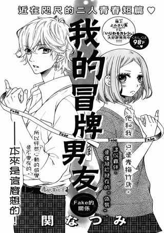 我的冒牌男友