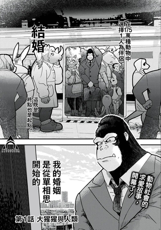 我的妻子是人类