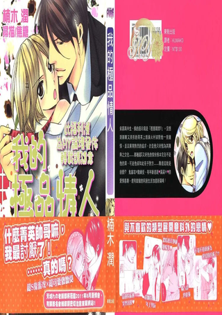 我的极品情人