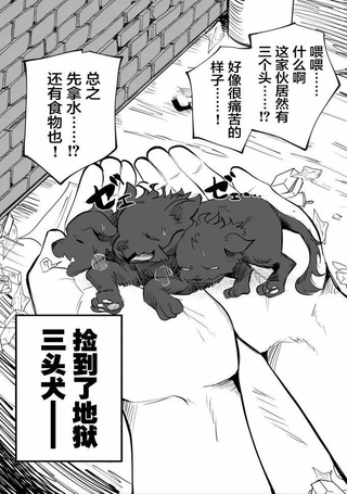 捡到了地狱三头犬