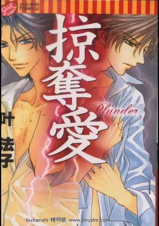 掠夺爱